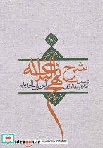 شرح نهج البلاغه ج 17