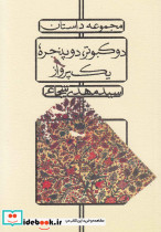 دو کبوتر دو پنجره یک پرواز