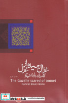 غزال رمیده از غزل