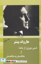 هارولد پینتر شبی بیرون از خانه