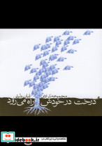 درخت در خودش راه می رود - تصویر 3