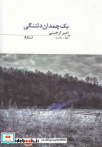 یک چمدان دلتنگی - تصویر 2