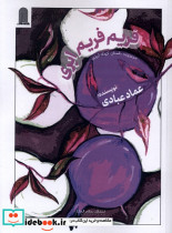 فریم فریم ابری 