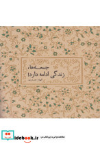 جمعه ها زندگی ادامه دارد