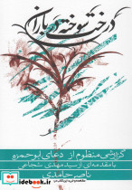 درخت سوخته در باران