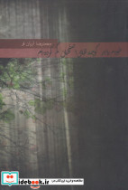 خودم را در کوچه های اصفهان گم کرده ام
