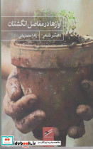 آوازها در مفاصل انگشتان