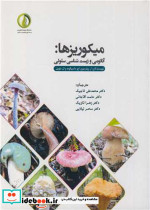 میکوریزها آناتومی و زیست شناسی سلولی