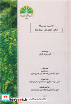 جمینی ویروس ها اثرات چالش ها و رویکردها