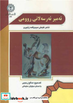 ئه میر ئه ر سه لانی روومی