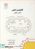 کاتابولیسم گیاهی