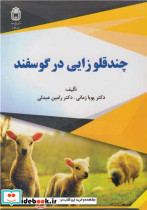 چندقلوزایی در گوسفند
