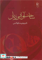 ساخت آوایی زبان