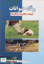 رفاه حیوانات