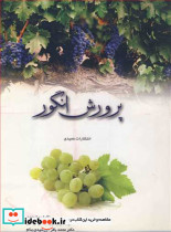 پرورش انگور