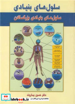 سلول های بنیادی بزرگسالان