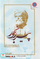 پیر رنجور شرح پارسی همزیه نالی