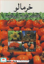 خرمالو کاشت داشت و برداشت