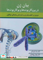 بیان ژن در پروکاریوت ها و یوکاریوت ها