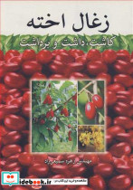 زغال اخته کاشت داشت و برداشت