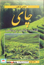 چای کاشت داشت برداشت