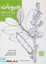 حبوبات