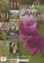 بیماری های نخودفرنگی