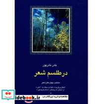 در طلسم شعر سخن