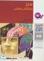 چرا و چگونه 48 مغز و شگفتی هایش قدیانی