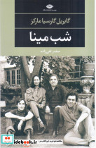 شب مینا