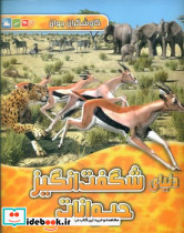 کاوشگران جوان گربه سانان بزرگ آبشن - تصویر 2