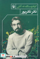 گیاه و سنگ نه آتش - تصویر 2
