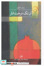 آن تک درخت انار - تصویر 3