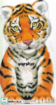 داستان زندگی خرگوش کوچولو - تصویر 2