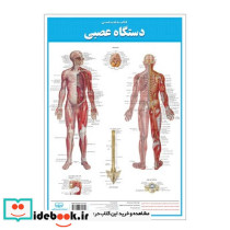 پوستر کالبد شناسی عصبی اندیشه کهن