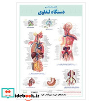 پوستر کالبد شناسی لنفاوی اندیشه کهن