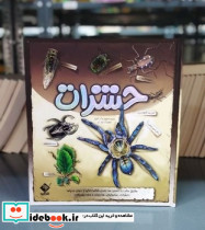 سه بعدی حشرات