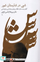 شبی در شارستان شور - تصویر 4