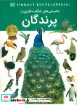 دانستنی های شگفت انگیزی از پرندگان اعتلای وطن