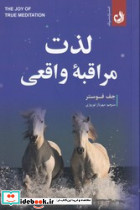 لذت مراقبه واقعی - تصویر 4