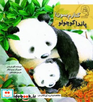 پاندا کوچولو کنارم بمون