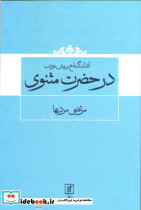 اندک گستاخ و بیش مودب در حضرت مثنوی