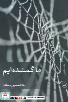 ما گمشده ایم - تصویر 3
