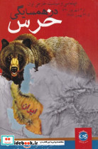 در همسایگی خرس
