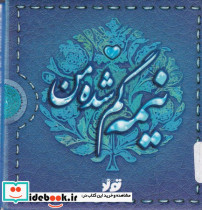 نیمه گمشده من