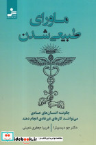 مرو مطیعانه در دل آن شب خوش شمیز،رقعی،ایهام