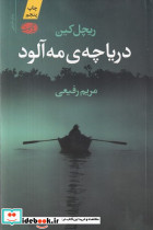 دریاچه مه آلود - تصویر 4