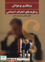 بزهکاری نوجوانان و نظریه های انحراف اجتماعی - تصویر 2