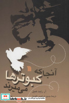 آنجا که کبوترها می میرند