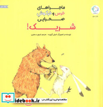 ماجراهای خرس و خرگوش صحرایی 2